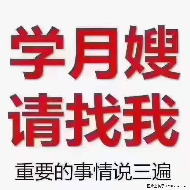 为什么要学习月嫂,育婴师? - 其他广告 - 广告专区 - 来宾分类信息 - 来宾28生活网 lb.28life.net
