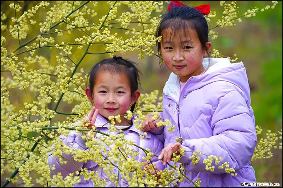 【春天，广西桂林灌阳县向您发出邀请！】米珠山前有片山苍子花在飘香 - 游山玩水 - 来宾生活社区 - 来宾28生活网 lb.28life.net