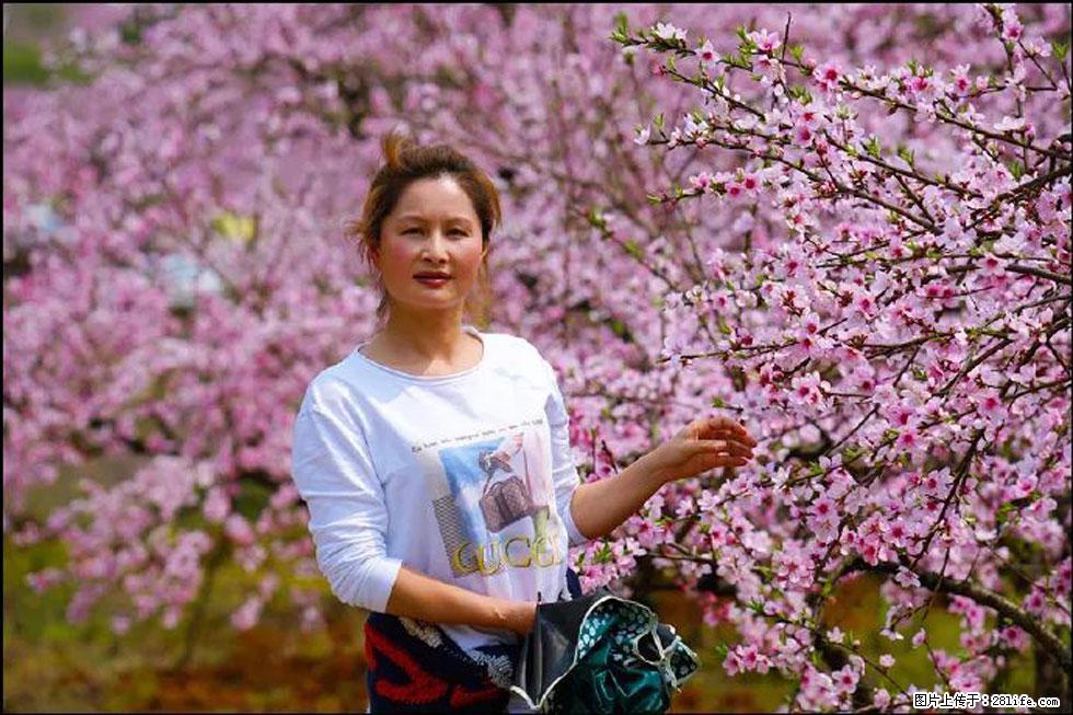【春天，广西桂林灌阳县向您发出邀请！】官庄村有个醉美的桃花园 - 游山玩水 - 来宾生活社区 - 来宾28生活网 lb.28life.net