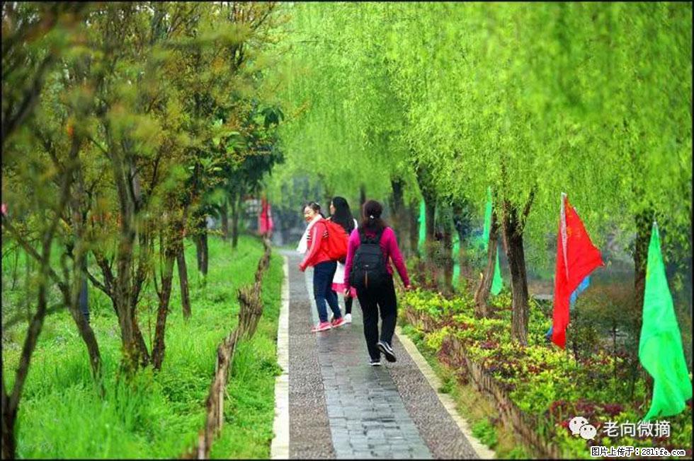 【春天，广西桂林灌阳县向您发出邀请！】江口老街又逢春 - 游山玩水 - 来宾生活社区 - 来宾28生活网 lb.28life.net