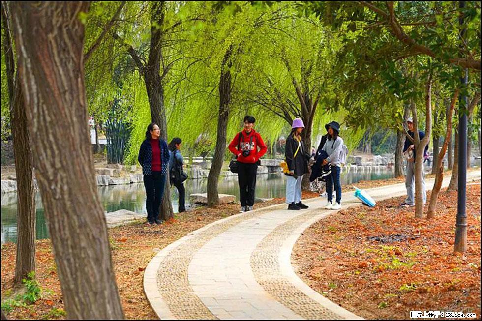 【春天，广西桂林灌阳县向您发出邀请！】江口老街又逢春 - 游山玩水 - 来宾生活社区 - 来宾28生活网 lb.28life.net
