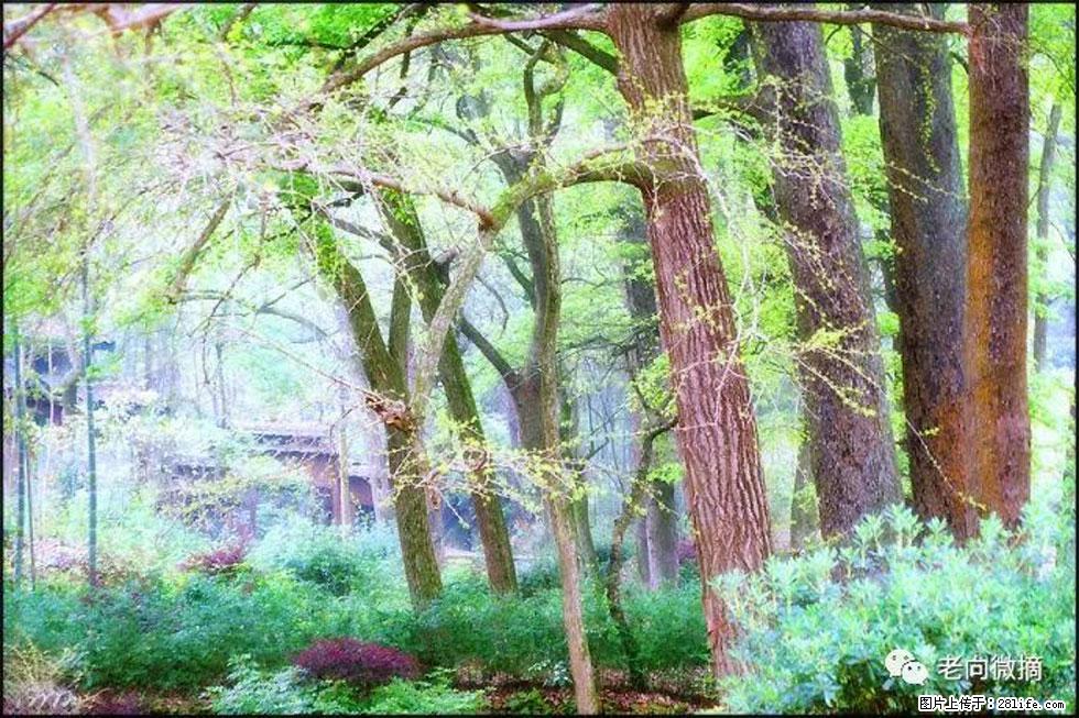 【春天,广西桂林灌阳县向您发出邀请!】在小龙村与春天约会 - 游山玩水 - 来宾生活社区 - 来宾28生活网 lb.28life.net