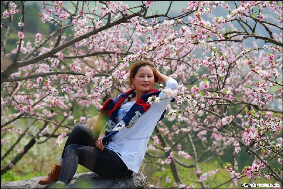 【春天，广西桂林灌阳县向您发出邀请！】望月岭上桃花开 - 游山玩水 - 来宾生活社区 - 来宾28生活网 lb.28life.net