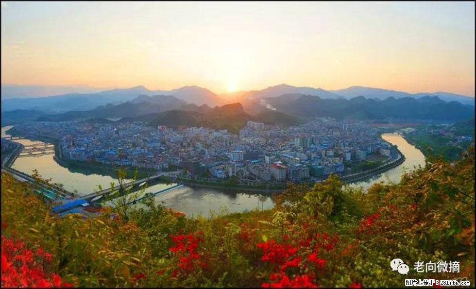 【春天，广西桂林灌阳县向您发出邀请！】登麒麟山，相约映山红 - 游山玩水 - 来宾生活社区 - 来宾28生活网 lb.28life.net