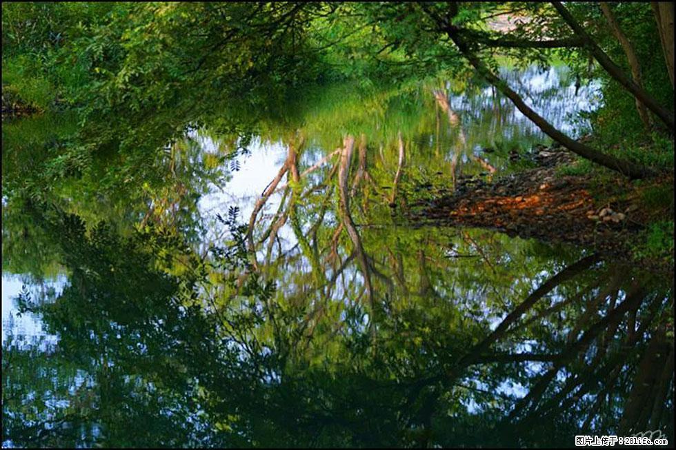 【春天，广西桂林灌阳县向您发出邀请！】熊家寨湿地公园 - 游山玩水 - 来宾生活社区 - 来宾28生活网 lb.28life.net