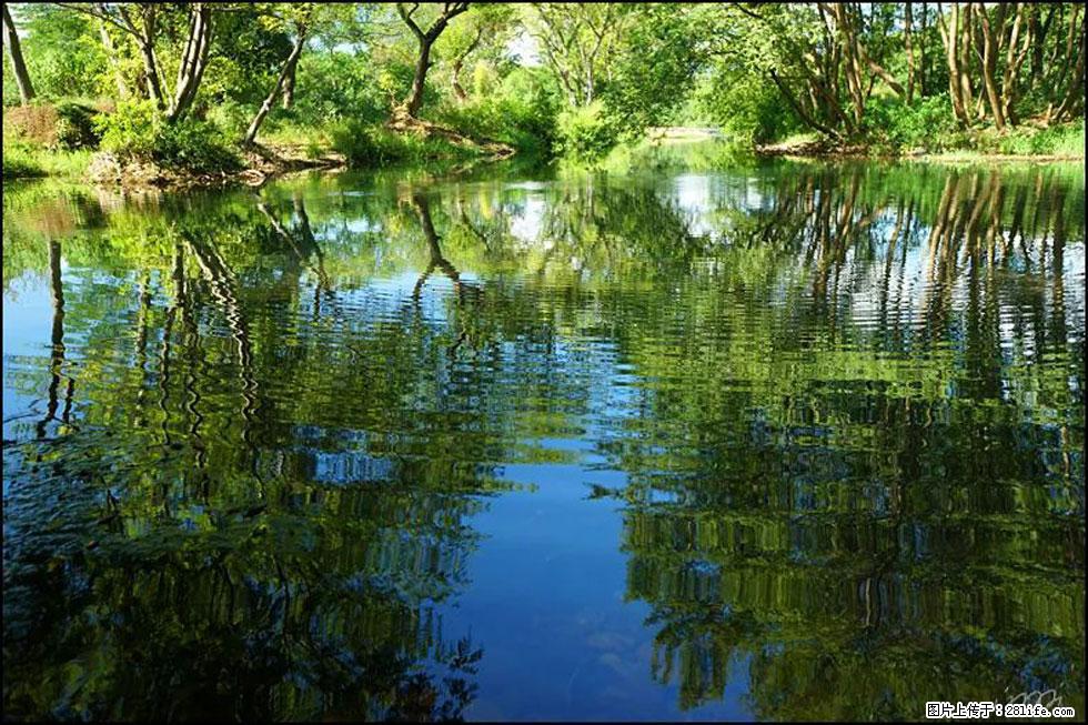 【春天，广西桂林灌阳县向您发出邀请！】熊家寨湿地公园 - 游山玩水 - 来宾生活社区 - 来宾28生活网 lb.28life.net