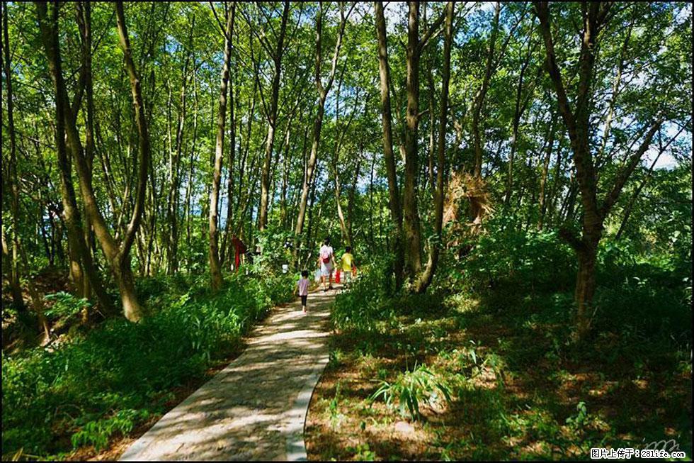 【春天，广西桂林灌阳县向您发出邀请！】熊家寨湿地公园 - 游山玩水 - 来宾生活社区 - 来宾28生活网 lb.28life.net