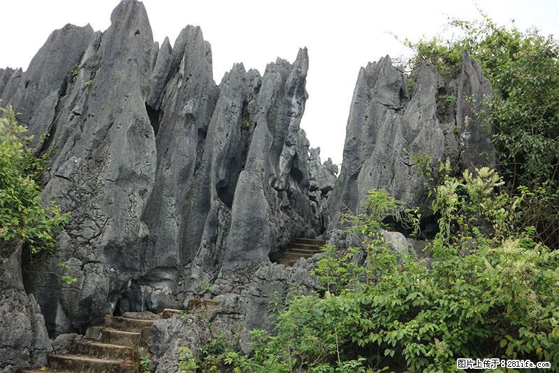 桂林旅游名城景点：灌阳文市石林 - 游山玩水 - 来宾生活社区 - 来宾28生活网 lb.28life.net