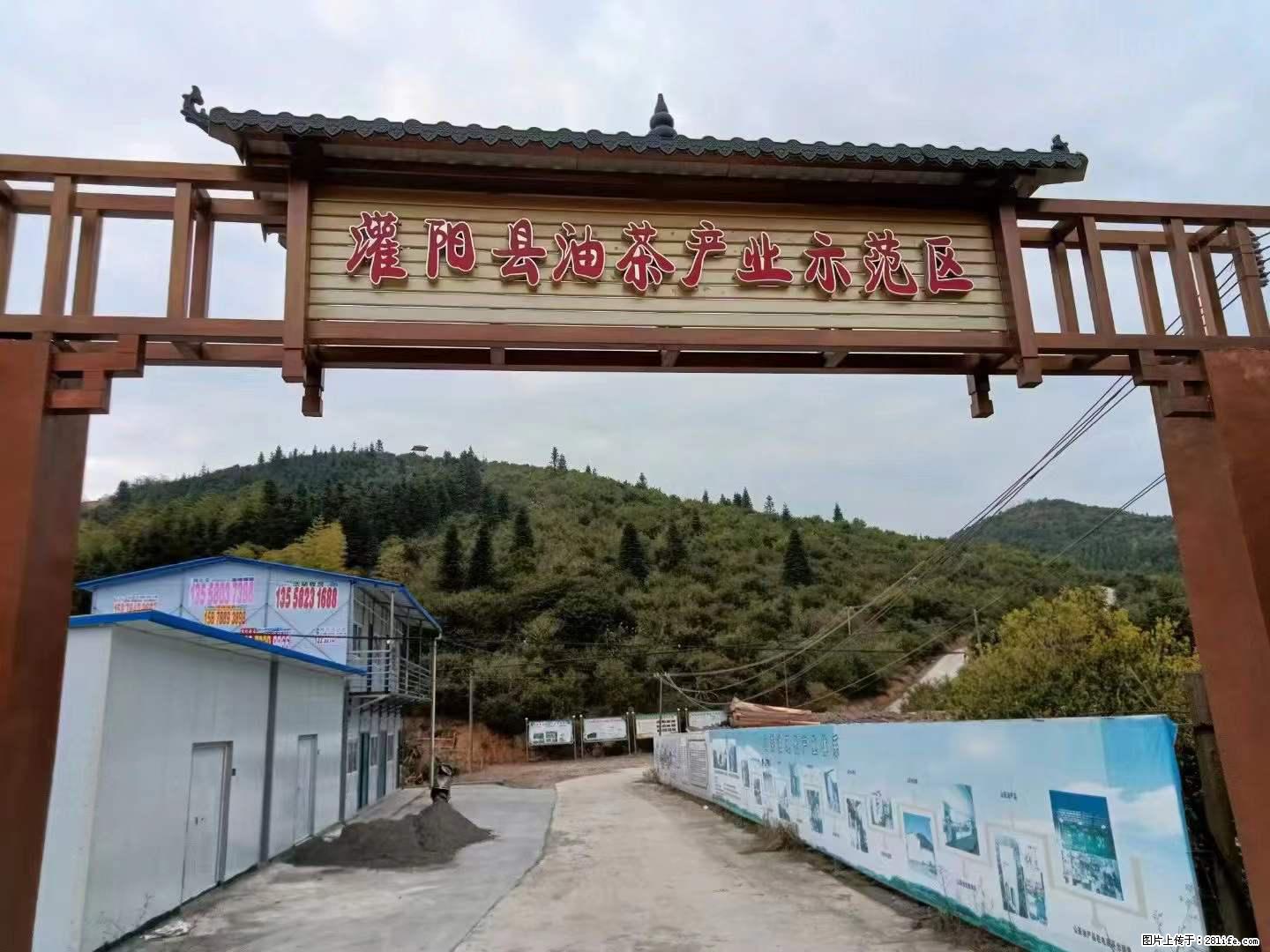 【灌阳县油茶产业示范区】一个有着充实的精神生活的人，对待身外之物自会有一种淡泊的态度 - 美食天地 - 来宾生活社区 - 来宾28生活网 lb.28life.net
