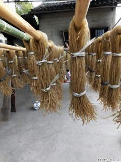 【灌阳正宗红薯粉】美女家里自己做的，干净卫生，假一赔十，价格合理，抢购电话：13737312895 - 来宾28生活网 lb.28life.net