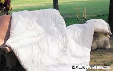 被子有异味？只要这样做，比晒太阳还强100倍！ - 家居生活 - 来宾生活社区 - 来宾28生活网 lb.28life.net