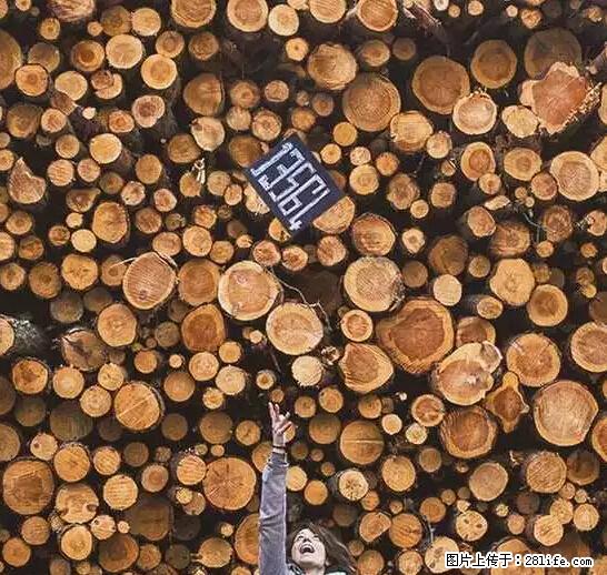 辞掉工作周游世界？现在他们在洗厕所…… - 游山玩水 - 来宾生活社区 - 来宾28生活网 lb.28life.net
