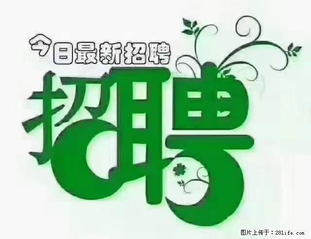 【招聘摄像师】待遇：试用期6000元/月，转正7000元/月+五险一金+餐补+节日福利+奖金 - 职场交流 - 来宾生活社区 - 来宾28生活网 lb.28life.net