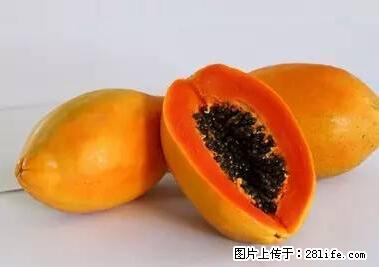晕车、脚气、牙齿变黄、皮肤粗糙?学会这些三分钟搞定! - 来宾生活资讯 - 来宾28生活网 lb.28life.net
