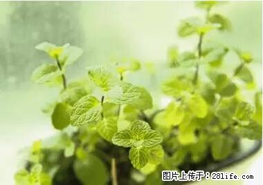 晕车、脚气、牙齿变黄、皮肤粗糙?学会这些三分钟搞定! - 来宾生活资讯 - 来宾28生活网 lb.28life.net