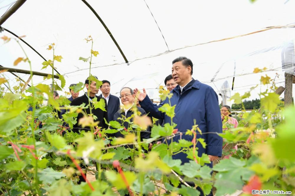 习近平赴广西考察调研 - 来宾生活资讯 - 来宾28生活网 lb.28life.net
