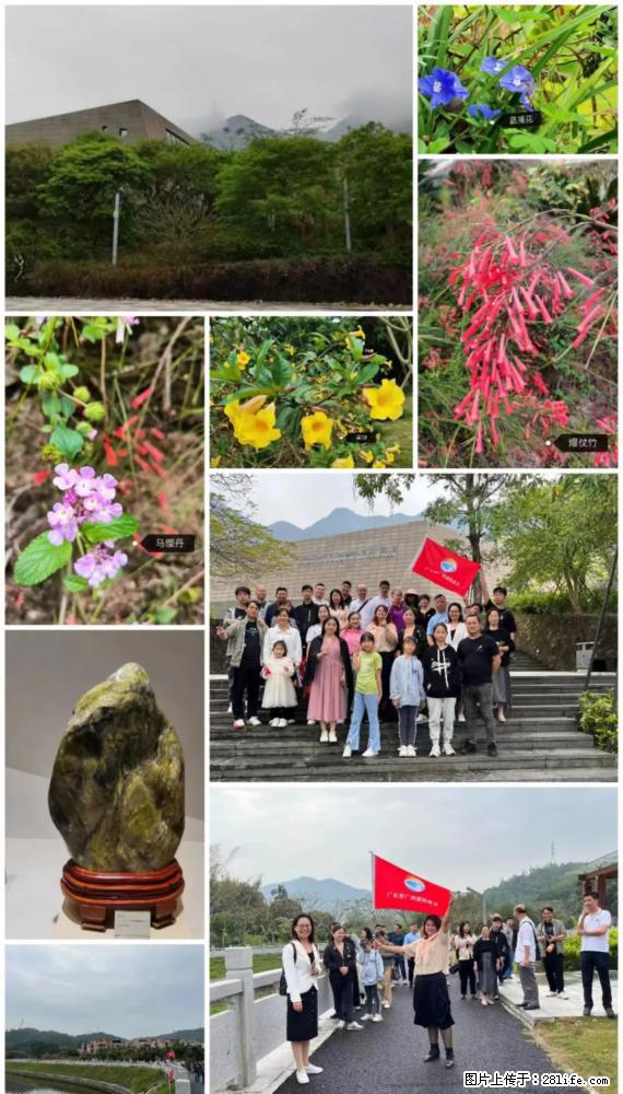 “粤灌文化 美好生活”油茶文化主题活动在广东深圳成功举办 - 来宾生活资讯 - 来宾28生活网 lb.28life.net