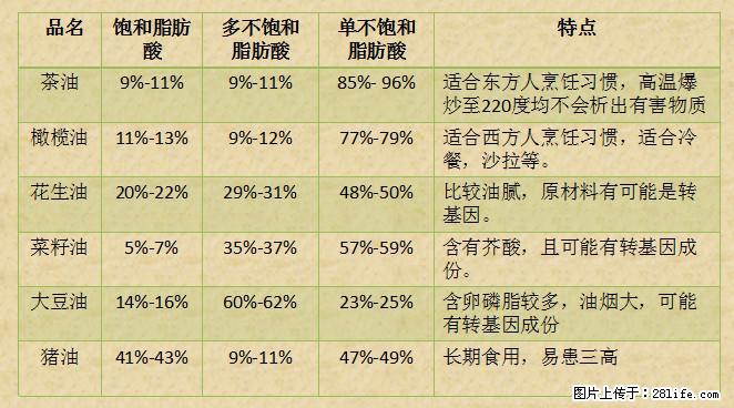 揭秘茶油的5大核心营养成分！被称为人体健康的“守护盾”！ - 来宾生活资讯 - 来宾28生活网 lb.28life.net