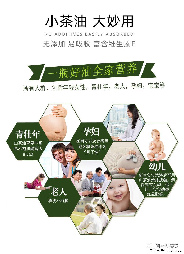 世界没有真相，只有认知，最好的食用油是中国的山茶油！ - 来宾生活资讯 - 来宾28生活网 lb.28life.net