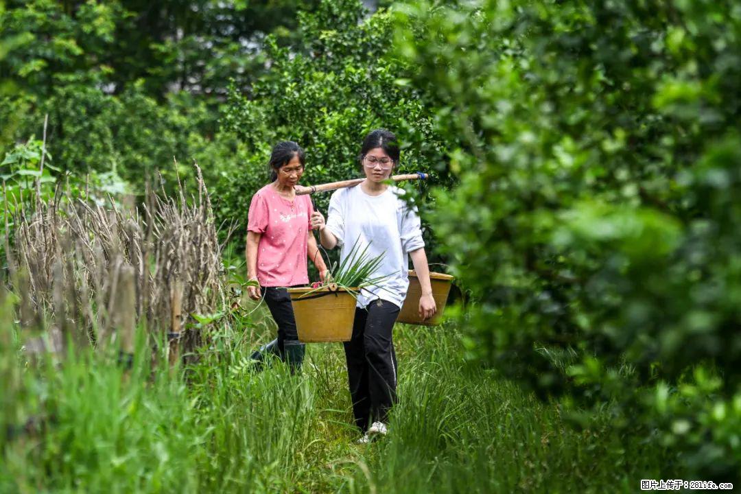 全网追的“扁担女孩”,找了一份暑假工,时薪12元 - 来宾生活资讯 - 来宾28生活网 lb.28life.net