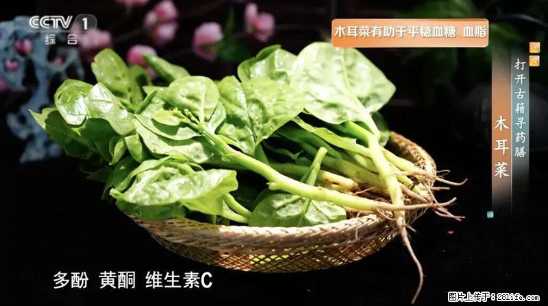 比牛奶补钙还厉害！凉血解毒、稳血糖...这菜冬天必吃，很多人却当草 - 来宾生活资讯 - 来宾28生活网 lb.28life.net