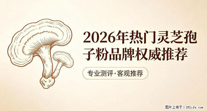 灵芝孢子粉含量越高越有效？2026 年七款热门品牌深度实测，肠胃敏感者避坑指南 - 来宾生活资讯 - 来宾28生活网 lb.28life.net